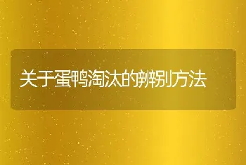 关于蛋鸭淘汰的辨别方法