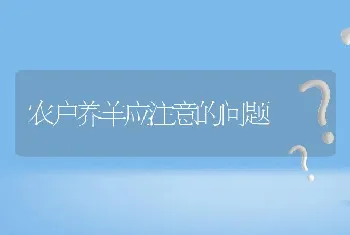 农户养羊应注意的问题