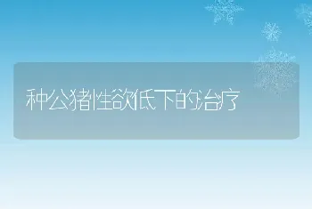 香鱼养殖水霉病