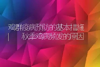 鸡群疫病预防的基本措施_秋季鸡病频发的原因