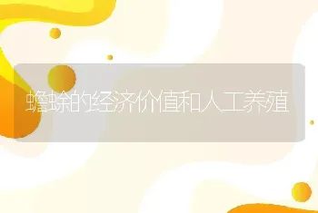 蟾蜍的经济价值和人工养殖