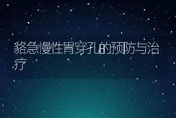 貉急慢性胃穿孔的预防与治疗