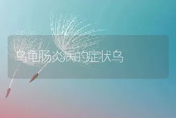 乌龟肠炎病的症状乌