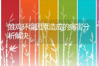 雏鸡环境因素造成的病害分析解决