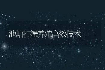 池塘扣蟹养殖高效技术