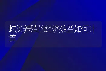 蛇类养殖的经济效益如何计算