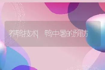 养鸭技术|鸭中暑的预防