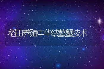 稻田养殖中华绒螯蟹技术