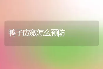 鸭子应激怎么预防