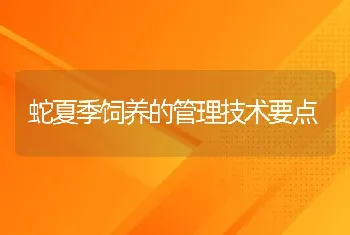 蛇夏季饲养的管理技术要点