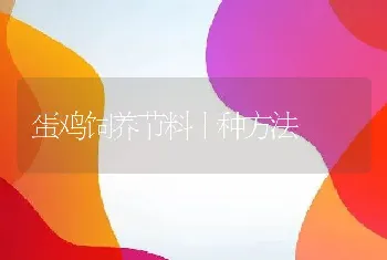 发酵床养猪的概念和内容