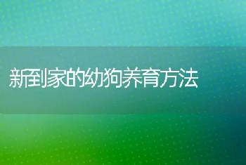 新到家的幼狗养育方法