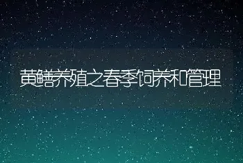 黄鳝养殖之春季饲养和管理