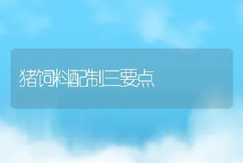 猪饲料配制三要点