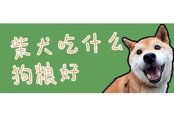 柴犬吃什么狗粮好