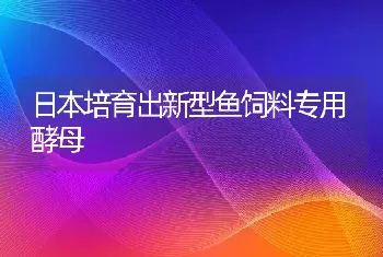 日本培育出新型鱼饲料专用酵母