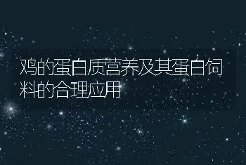 鸡的蛋白质营养及其蛋白饲料的合理应用