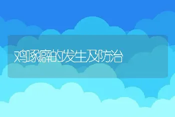 鸡啄癖的发生及防治