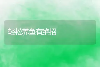 “一稻两鸭”水稻种植新方法