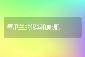 蟹爪兰的修剪和施肥