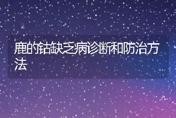 鹿的钴缺乏病诊断和防治方法