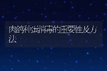 肉鸽种蛋消毒的重要性及方法