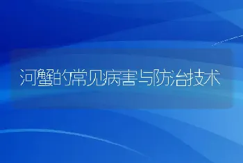 河蟹的常见病害与防治技术