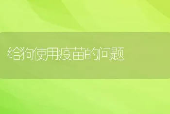 给狗使用疫苗的问题