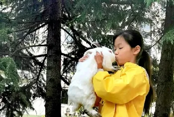 让臭味滚蛋的3大招，招招KO该死的异味