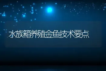 水族箱养殖金鱼技术要点