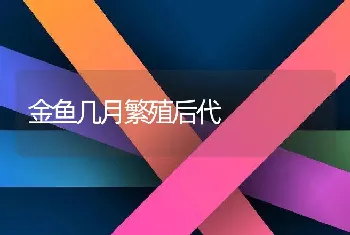 金鱼几月繁殖后代