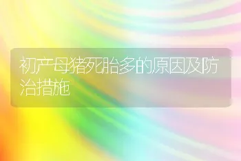 奶山羊四季的保健措施