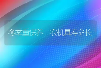 冬季重保养 农机具寿命长