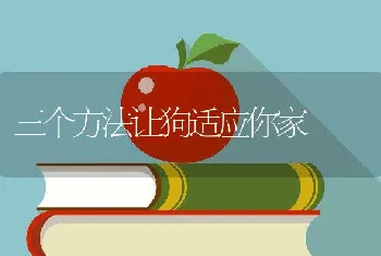 三个方法让狗适应你家