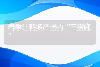 春季让鸭多产蛋的“三措施”