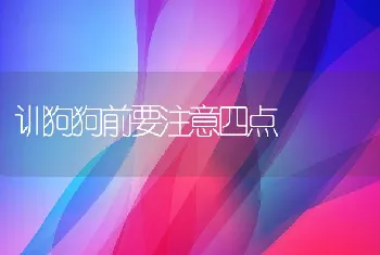 训狗狗前要注意四点