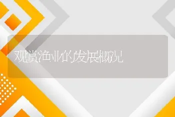 盆养黄粉虫的科学管理技术要点