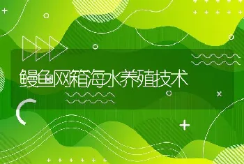 鳗鱼网箱海水养殖技术