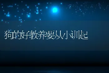 狗的好教养要从小训起