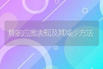 鹿的应激表现及其减少方法