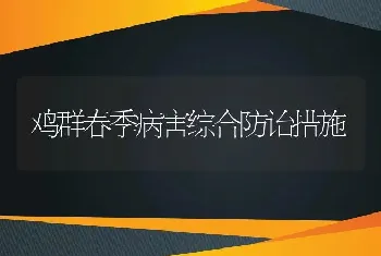 鸡群春季病害综合防诒措施