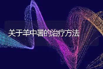 关于羊中暑的治疗方法