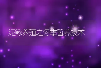 泥鳅养殖之冬季暂养技术