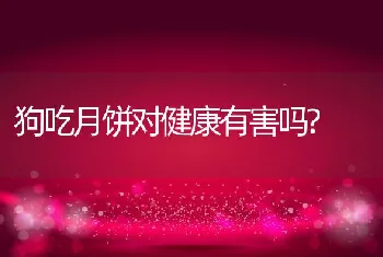 狗吃月饼对健康有害吗?