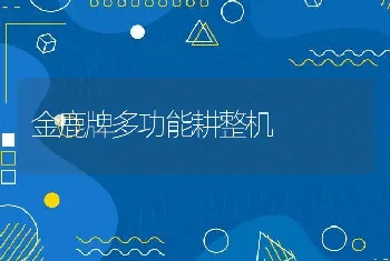 金鹿牌多功能耕整机