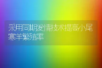 采用同期发情技术提高小尾寒羊繁殖率