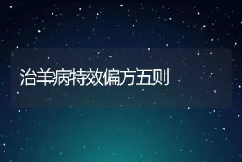 治羊病特效偏方五则