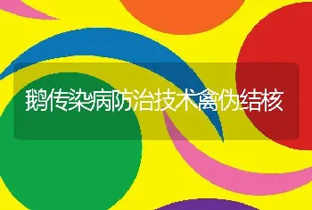 鹅传染病防治技术禽伪结核