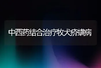 中西药结合治疗牧犬疥螨病