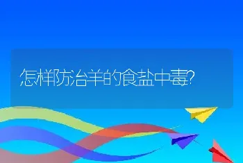 怎样防治羊的食盐中毒？